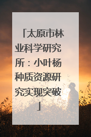 太原市林业科学研究所：小叶杨种质资源研究实现突破