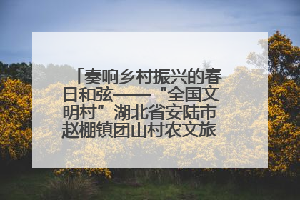 奏响乡村振兴的春日和弦——“全国文明村”湖北省安陆市赵棚镇团山村农文旅融合发展见闻
