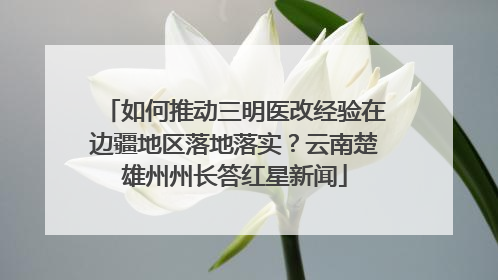 如何推动三明医改经验在边疆地区落地落实？云南楚雄州州长答红星新闻