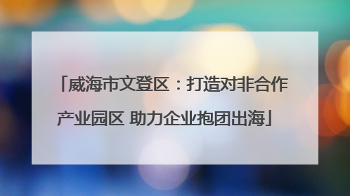 威海市文登区：打造对非合作产业园区 助力企业抱团出海