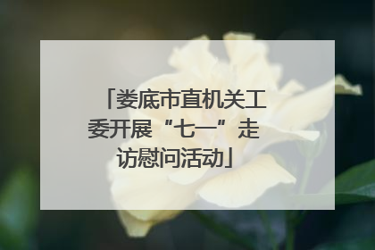 娄底市直机关工委开展“七一”走访慰问活动