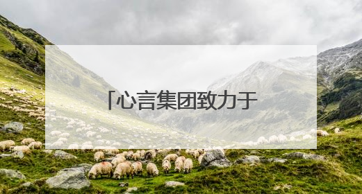 心言集团致力于打造专业泛心理服务内核，开启创新服务新体验