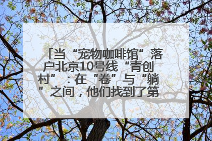 当“宠物咖啡馆”落户北京10号线“青创村”：在“卷”与“躺”之间，他们找到了第三种生活公式