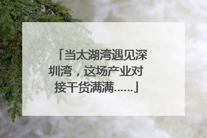 当太湖湾遇见深圳湾，这场产业对接干货满满……