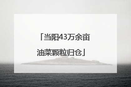当阳43万余亩油菜颗粒归仓