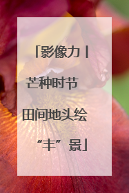 影像力丨芒种时节 田间地头绘“丰”景