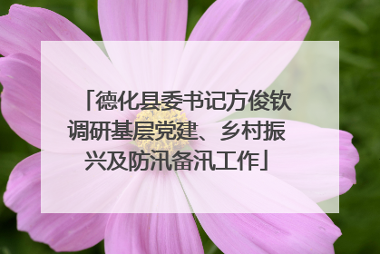 德化县委书记方俊钦调研基层党建、乡村振兴及防汛备汛工作
