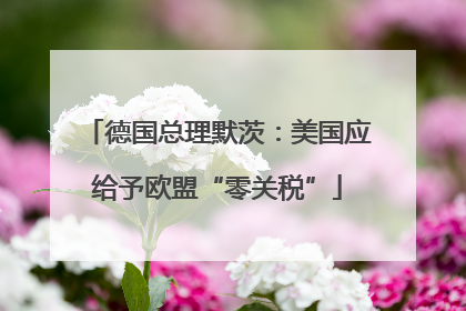 德国总理默茨：美国应给予欧盟“零关税”