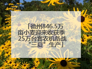 德州846.5万亩小麦迎来收获季 25万台套农机备战“三夏”生产