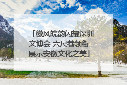 徽风皖韵闪耀深圳文博会 六尺巷领衔展示安徽文化之美