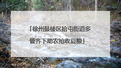 徐州鼓楼区拾屯街道多管齐下助农抢收夏粮