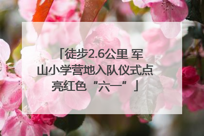 徒步2.6公里 军山小学营地入队仪式点亮红色“六一”