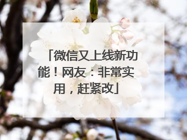 微信又上线新功能！网友：非常实用，赶紧改