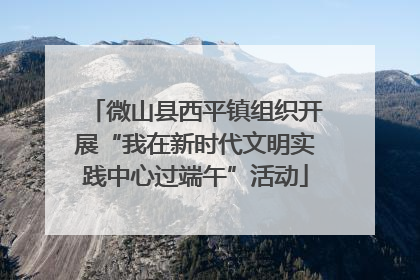 微山县西平镇组织开展“我在新时代文明实践中心过端午”活动