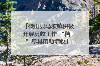 微山县马坡镇积极开展夏收工作 “秸”尽其用助增收