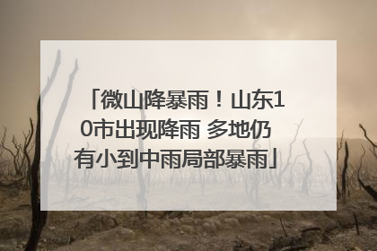 微山降暴雨！山东10市出现降雨 多地仍有小到中雨局部暴雨