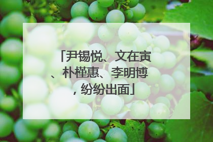 尹锡悦、文在寅、朴槿惠、李明博，纷纷出面