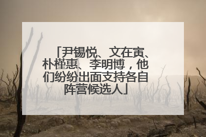 尹锡悦、文在寅、朴槿惠、李明博，他们纷纷出面支持各自阵营候选人