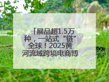 展品超1.5万种，一站式“链”全球！2025黄河流域跨境电商博览会启幕