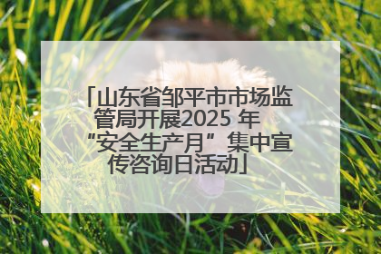 山东省邹平市市场监管局开展2025 年“安全生产月”集中宣传咨询日活动