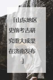 山东地区史前考古研究重大成果在济南发布