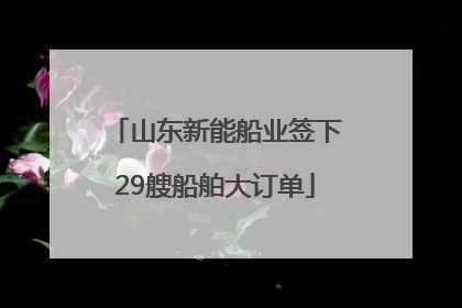 山东新能船业签下29艘船舶大订单