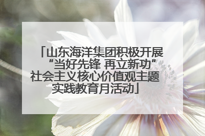 山东海洋集团积极开展“当好先锋 再立新功”社会主义核心价值观主题实践教育月活动