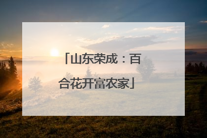 山东荣成：百合花开富农家