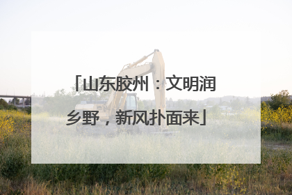 山东胶州：文明润乡野，新风扑面来