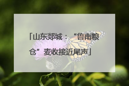 山东郯城：“鲁南粮仓”麦收接近尾声