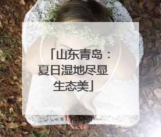 山东青岛：夏日湿地尽显生态美