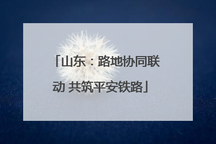 山东：路地协同联动 共筑平安铁路