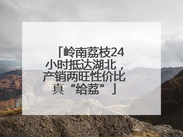 岭南荔枝24小时抵达湖北，产销两旺性价比真“给荔”