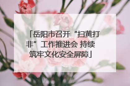 岳阳市召开“扫黄打非”工作推进会 持续筑牢文化安全屏障