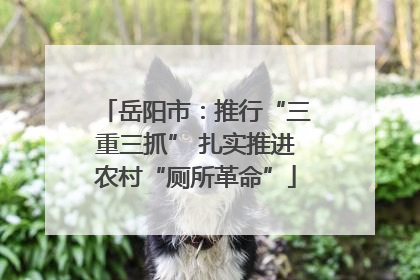 岳阳市：推行“三重三抓” 扎实推进农村“厕所革命”