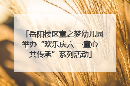岳阳楼区童之梦幼儿园举办“欢乐庆六一·童心共传承”系列活动
