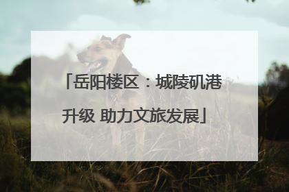 岳阳楼区：城陵矶港升级 助力文旅发展
