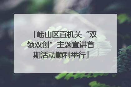 崂山区直机关“双领双创”主题宣讲首期活动顺利举行