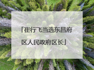 崔行飞当选东昌府区人民政府区长