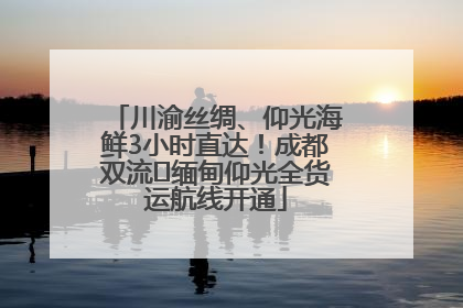 川渝丝绸、仰光海鲜3小时直达！成都双流⇌缅甸仰光全货运航线开通