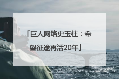 巨人网络史玉柱：希望征途再活20年