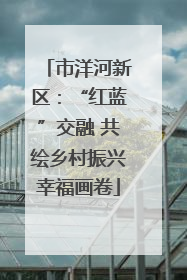 市洋河新区：“红蓝”交融 共绘乡村振兴幸福画卷