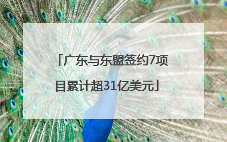 广东与东盟签约7项目累计超31亿美元