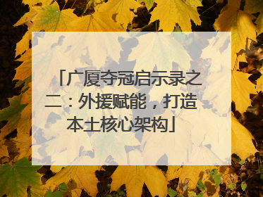 广厦夺冠启示录之二：外援赋能，打造本土核心架构