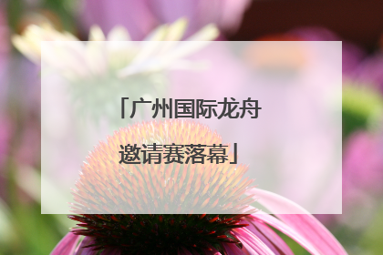广州国际龙舟邀请赛落幕