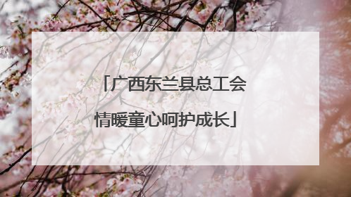 广西东兰县总工会情暖童心呵护成长