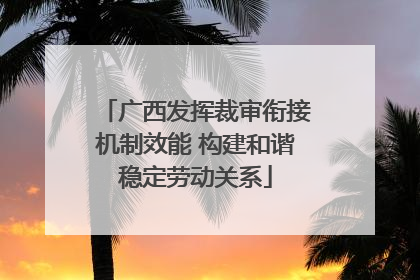 广西发挥裁审衔接机制效能 构建和谐稳定劳动关系