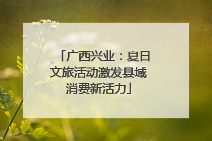 广西兴业：夏日文旅活动激发县域消费新活力