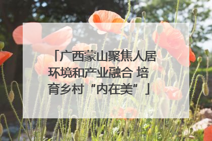 广西蒙山聚焦人居环境和产业融合 培育乡村“内在美”