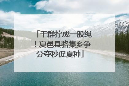 干群拧成一股绳！夏邑县骆集乡争分夺秒促夏种